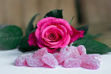 Rose rose avec bonbons en forme de cœur - Saint-Valentin sur Femke Steigstra