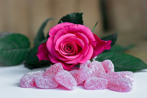 Rosa Rose mit Herzbonbons - Valentinstag