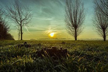 landschaft niederlande.
