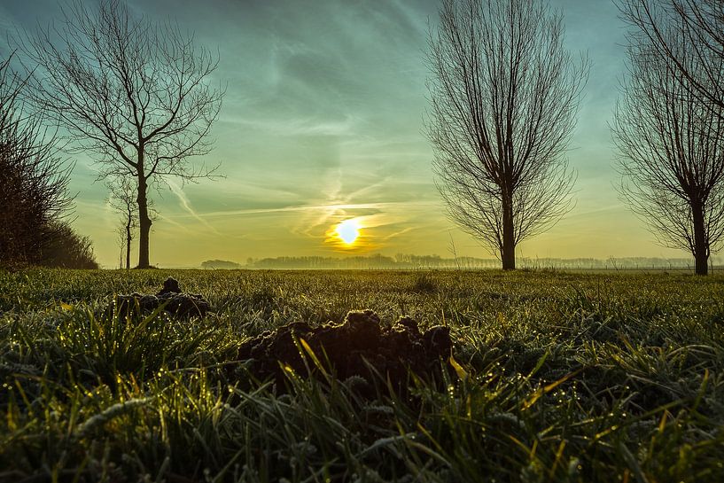 landscape netherlands. by C Witvliet