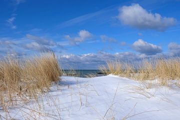 Dünen im Schnee sur Ostsee Bilder