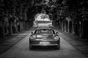 Porsche Boxster GTS Typ 981