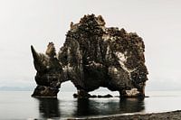 Rhino Rock