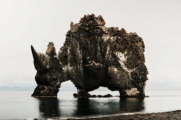Rhino Rock by Jonas Potthast