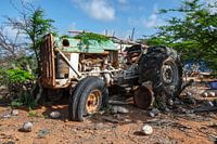 Oude trekker op Bonaire