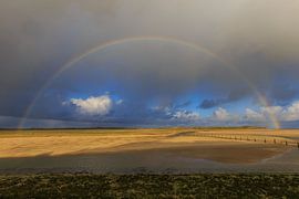 Regenboog op het strand van Fotografie Krist / Top Foto Vlaanderen