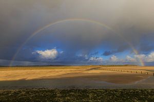 Regenboog op het strand