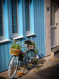 Kleines blaues Fahrrad von Steve Kitzmann