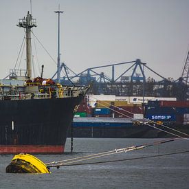 Navires dans le Waalhaven par une journée froide. sur scheepskijkerhavenfotografie