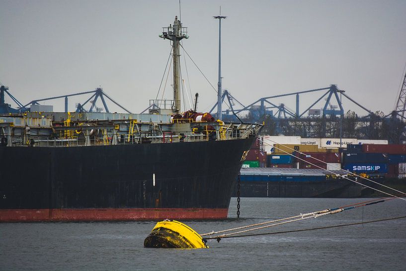 Schepen in de Waalhaven op een koude dag. van scheepskijkerhavenfotografie