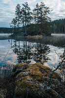 Bomen op klein eiland reflecteren in mistig meer bij zonsopgang