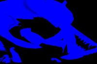 Blauwe Roos