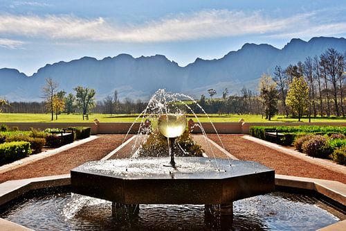 un verre de vin fontaine