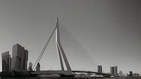Panorama Erasmusbrug zwart/wit