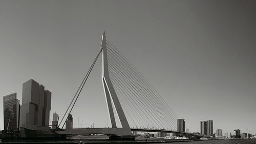 Panorama Erasmusbrug zwart/wit