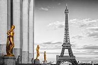 Eiffel Tower PARIS Trocadero by Melanie Viola thumbnail