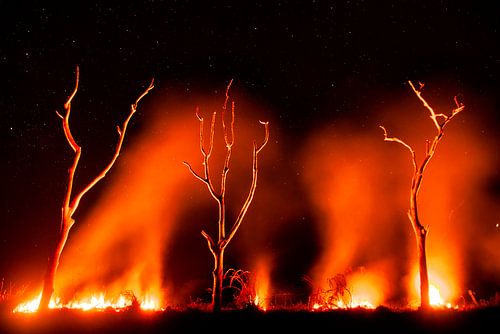 Grassland on fire in the Pantanal, Brazil