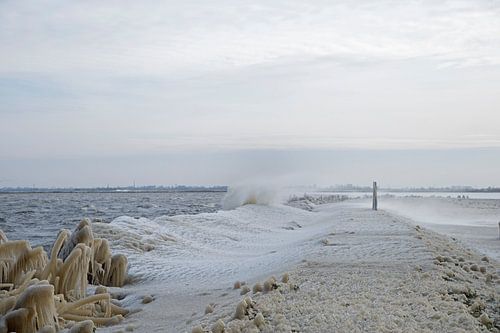 Frozen water at the edge of the lake