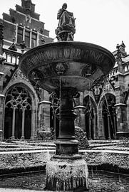 Kloostertuin,Utrecht. by Verliefd op Utrecht