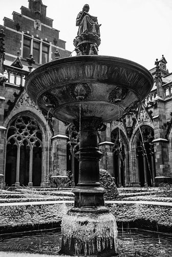 Kloostertuin,Utrecht.