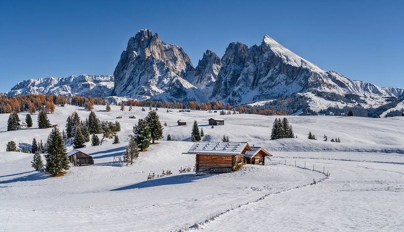 Panorama de l'Alpe de Siusi Tyrol du Sud par Achim Thomae Photography