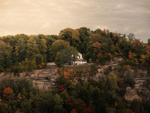 Bosrestaurant boven klif van Tobias Wartenberg