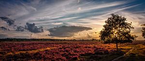 Panoramic Sunset von Joram Janssen