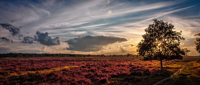 Coucher de soleil panoramique par Joram Janssen