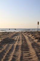 Tire tracks on the beach