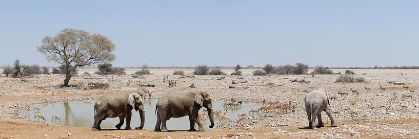 Namibia by wim verrijp