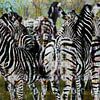 Digitale collage met Zebras van Ton Kuijpers