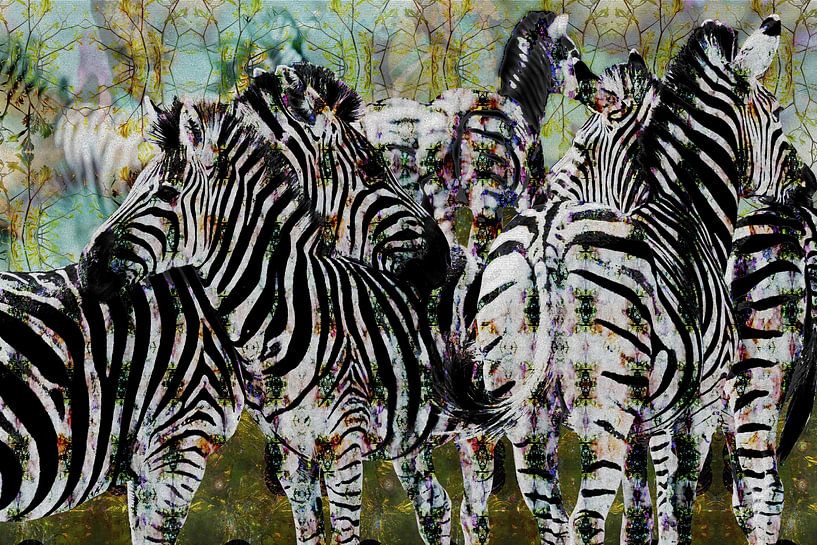 Digital collage with Zebras by Ton Kuijpers