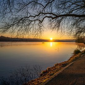 Baldeneysee, Essen, North Rhine-Westphalia, Germany by Alexander Ludwig