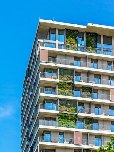 Groene gevel Erfurt - architectuur en natuur