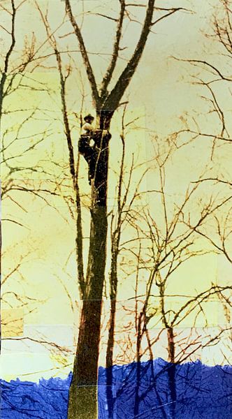 Tree climber von Studio Blomm