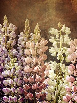 LUPINES MAGIQUES no1 sur Pia Schneider