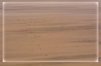 kleur van het strand