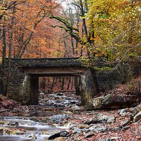 Een stenen brug over een rivier in de herfst van Gerard de Zwaan