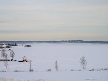 Swedish red