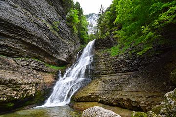 Waterval omringd door bergen en groen bos van Studio LE-gals