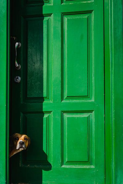 Who's There van Peter Deschepper