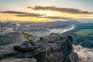 Elbsandsteingebirge Ausblick im Morgenlicht