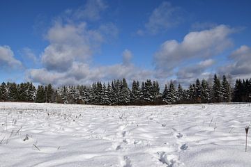 Erster Schnee auf den Feldern von Claude Laprise