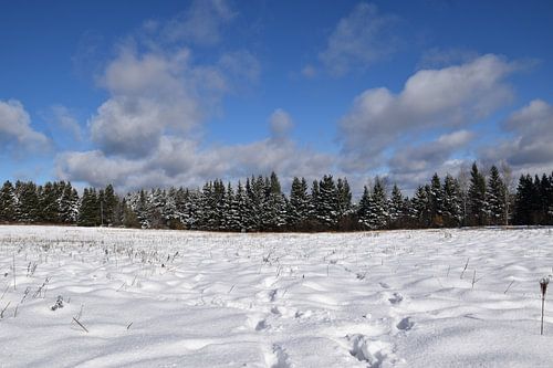 Erster Schnee auf den Feldern