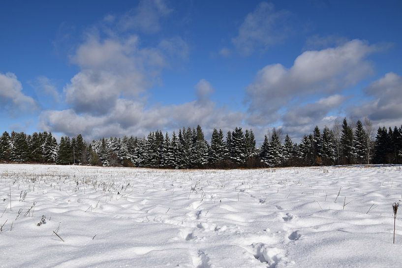 First snow on the fields by Claude Laprise
