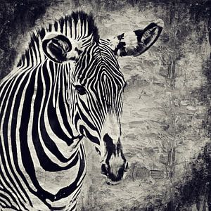 Porträt eines Zebras (schwarz-weiß, Gemälde)