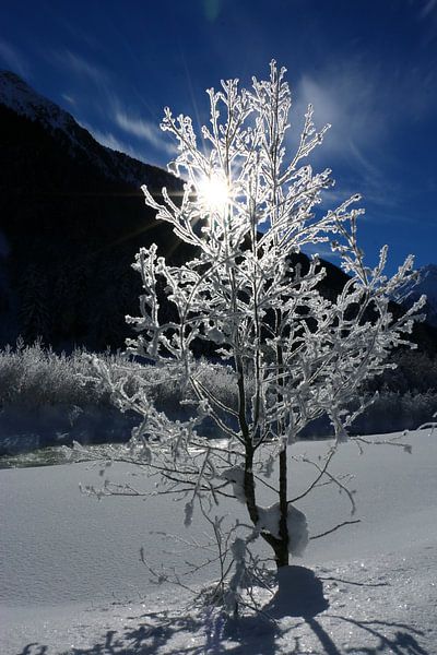 Winter Wonderland van Christiane Schulze