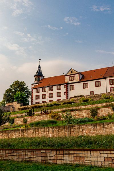 Kasteel Wilhelmsburg in herfstig licht van Oliver Hlavaty