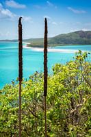 Whitehaven strand op de Whitsundays in Australië