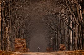 der einsamere Radfahrer von Roy De vries